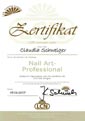 Nail Art-Professional